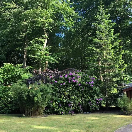 Holiday home Strandhaus Graal-Mueritz