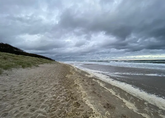 Strandhaus * グラール・ミューリッツ