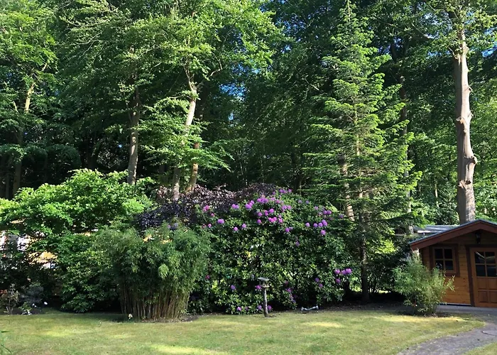 別荘 Strandhaus グラール・ミューリッツ